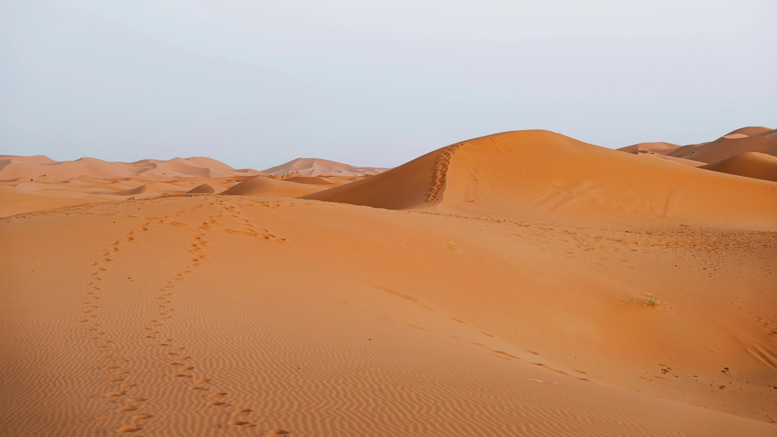 Saudi-Arabien Wüste